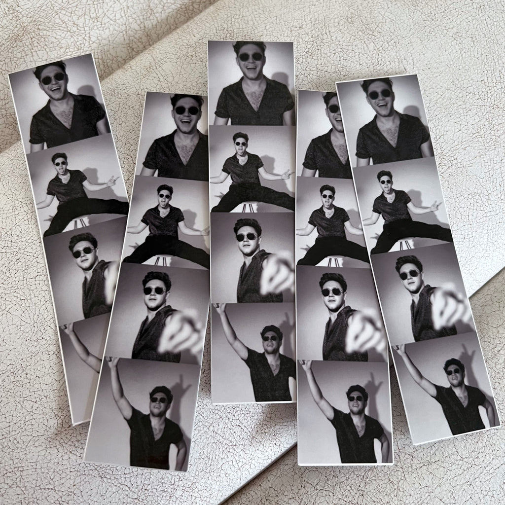 Niall Polaroid Sticker