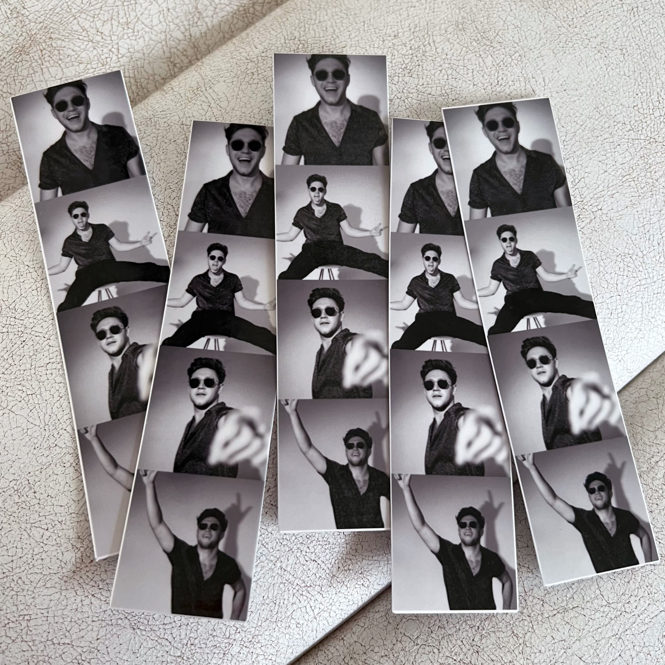 Niall Polaroid Sticker