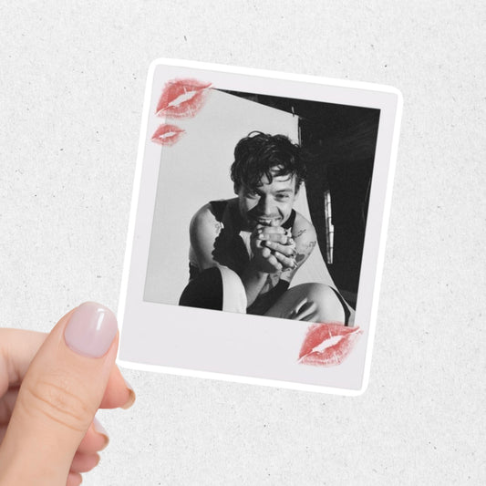 Harry Polaroid Sticker